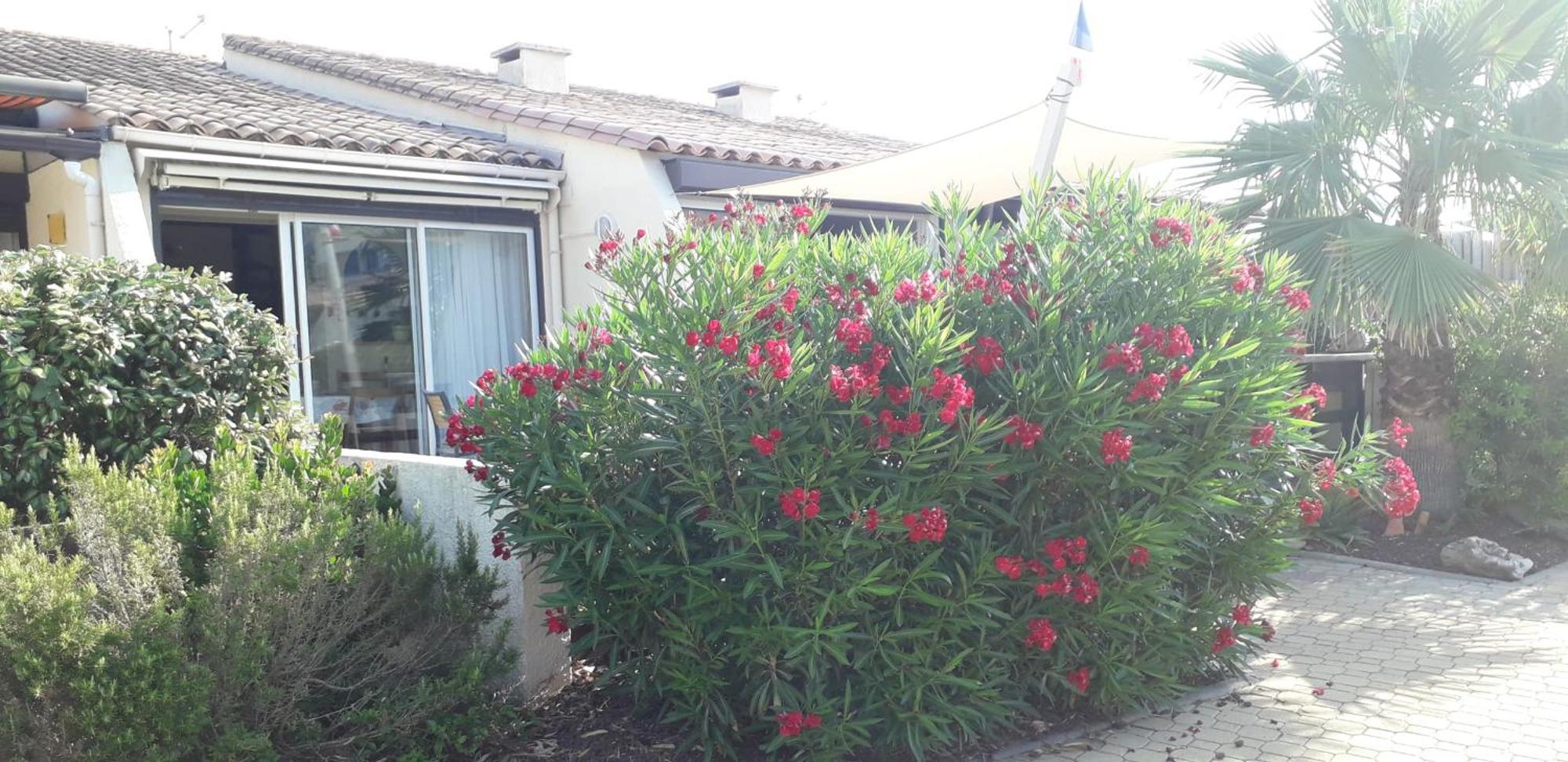 Naturiste Cap D'Agde Villa Heliovillage 58 Buitenkant foto